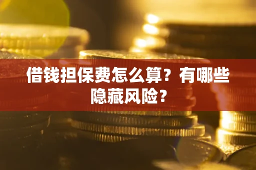 武汉借钱担保费怎么算？有哪些隐藏风险？