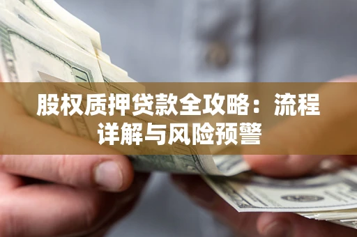 武汉股权质押贷款全攻略：流程详解与风险预警