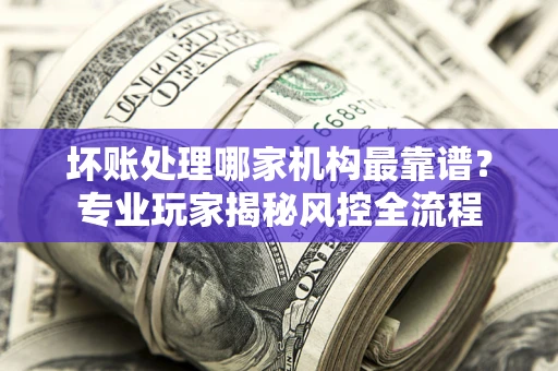 武汉坏账处理哪家机构最靠谱？专业玩家揭秘风控全流程