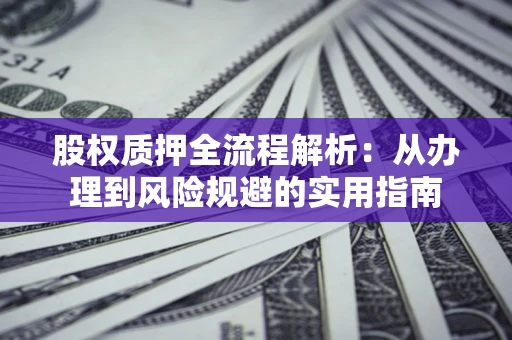武汉股权质押全流程解析：从办理到风险规避的实用指南