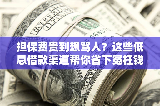 武汉担保费贵到想骂人？这些低息借款渠道帮你省下冤枉钱
