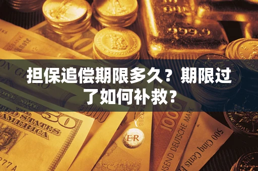 武汉担保追偿期限多久？期限过了如何补救？