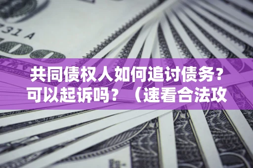 武汉共同债权人如何追讨债务？可以起诉吗？（速看合法攻略）