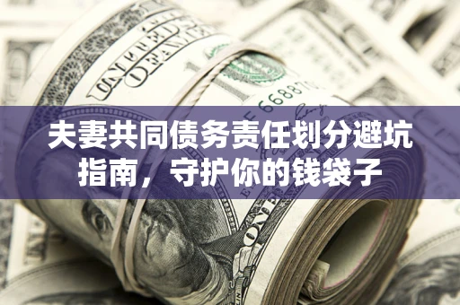 武汉夫妻共同债务责任划分避坑指南，守护你的钱袋子