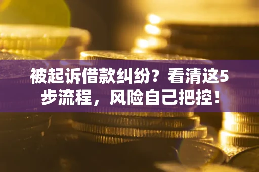 武汉被起诉借款纠纷？看清这5步流程，风险自己把控！