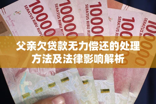 武汉父亲欠贷款无力偿还的处理方法及法律影响解析