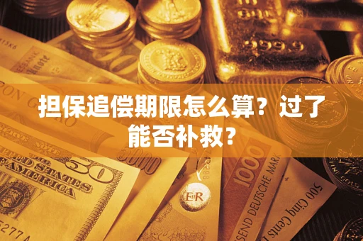 武汉担保追偿期限怎么算？过了能否补救？